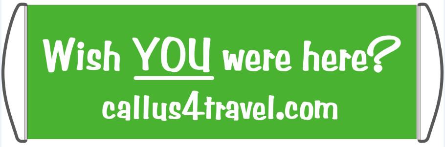 Retractable Hand Banners for Travel